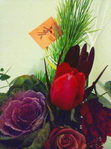 c68816d8.jpg