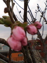 f0824fa9.jpg