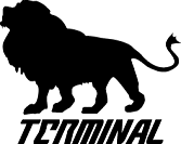 TERMINAL SNOWGOGGLE