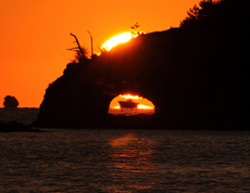 OOKI_DSC_5798-4