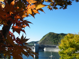 DSCF3970