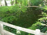 okazaki16