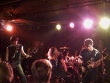 SCARIFEED LIVE!!