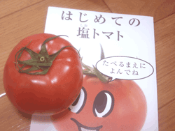 おいしっくすoisix塩トマト