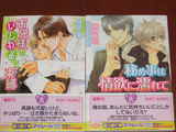 20080306