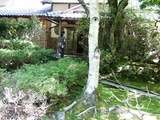 ī���첰