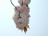 ���ܺ�2