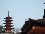 �޽���