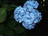 ��������6