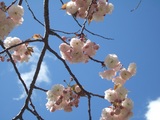 ����8