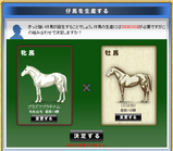 �ۥ磻�ȣ������۹��