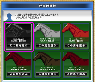 ���륭���֥�å�