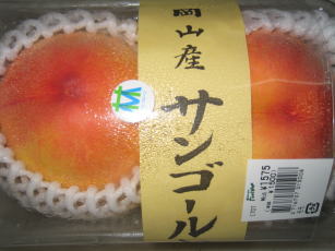 ¥µ¥ó¥´¡¼¥ë²¬»³