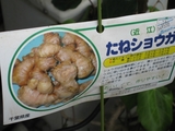 ���礦��