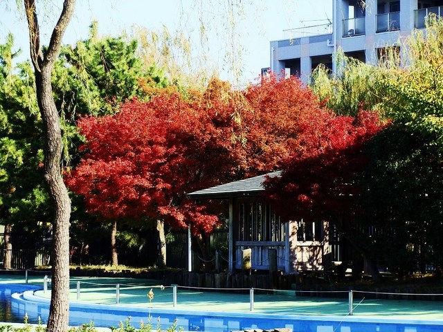 DSC02900
