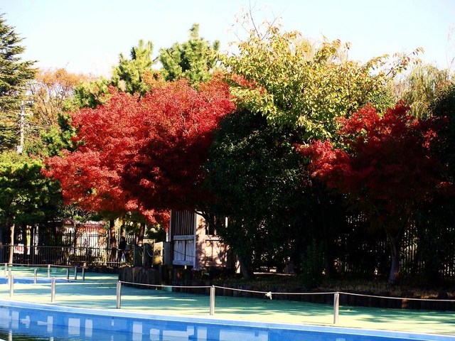 DSC02898