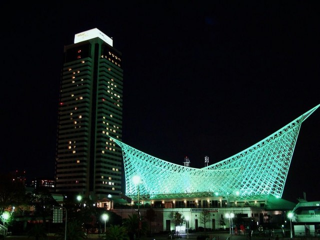 DSC02831