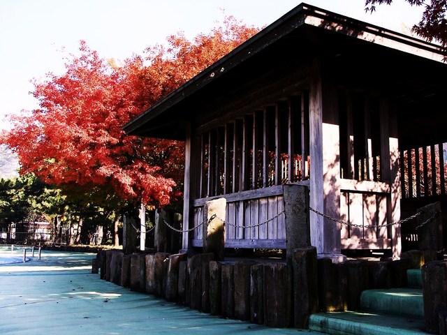 DSC02913