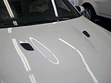 f9388a28.jpg