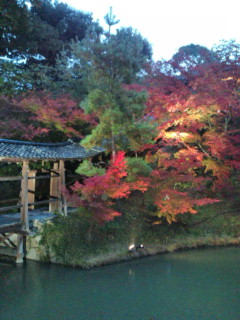 京都