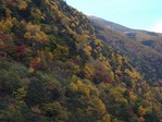 秋山