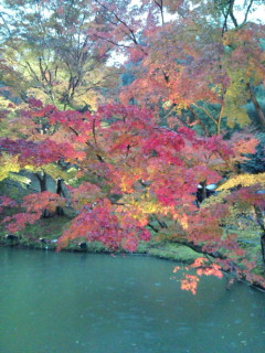 京都
