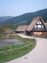 c99f6452.jpg