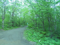 IMG0001