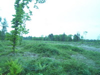 IMG0002