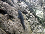 a2339d0d.jpg