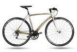 treviso_gold