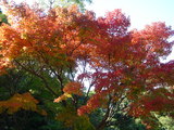 DSC00724