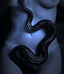 body