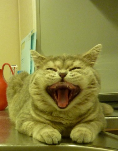 �ͤ�