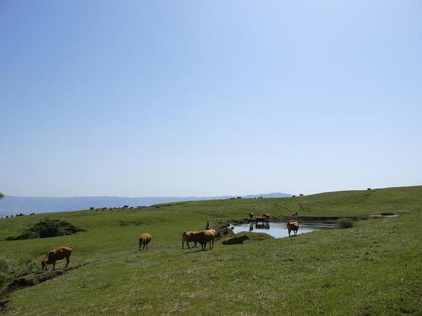 aso4