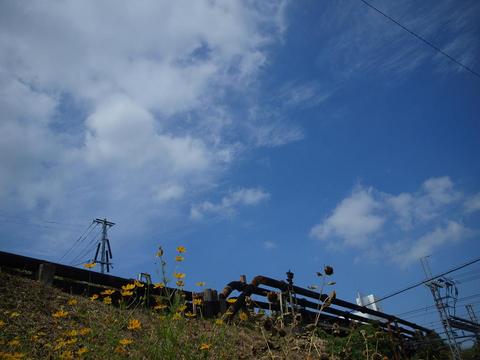aozora4
