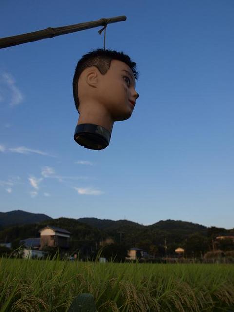 kakasi