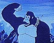kong