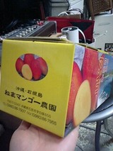 �ޥ󥴡�������