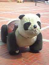 d99f9251.jpg