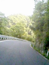 274f0b00.jpg
