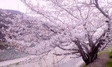 416c6739.jpg