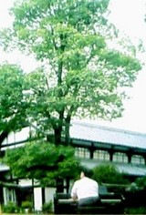 4f88d33c.jpg