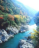 b1ae447c.jpg