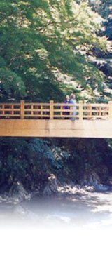 fa8ed930.jpg