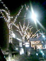 fce62f32.jpg
