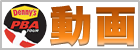 PBAư��
