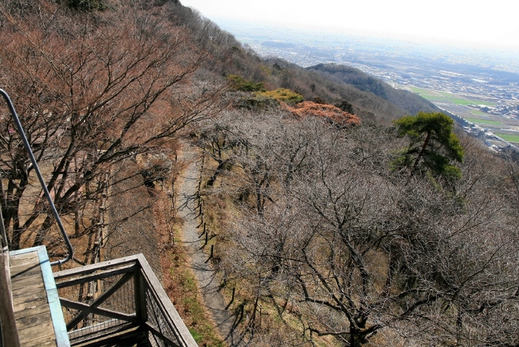 桜はまだまだ・・