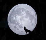 fullmoon