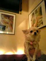 050530_231226.jpg